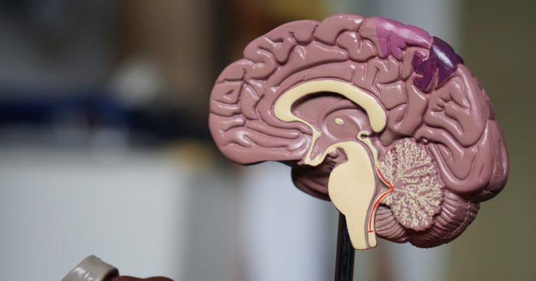 Brain fog causes and cognitive symptoms