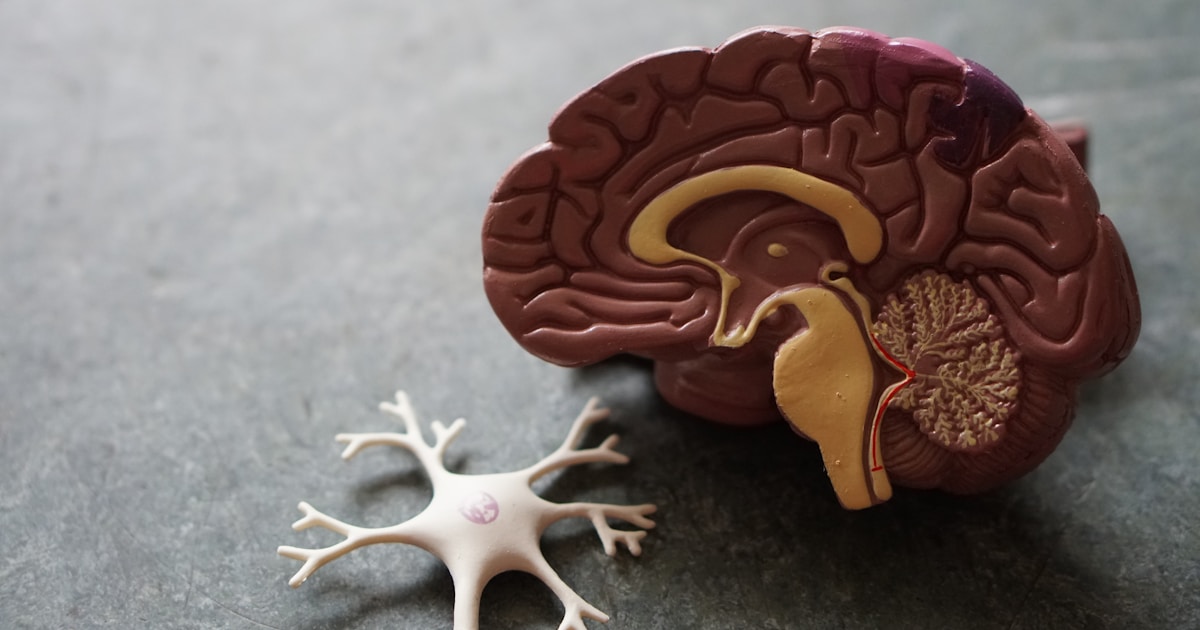 Leaky gut syndrome and gut health