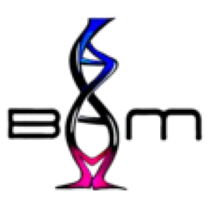 BAM HEALTH