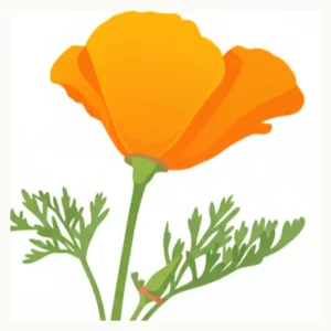 Bernal Homeopathy - Kathleen Scheible, CCH