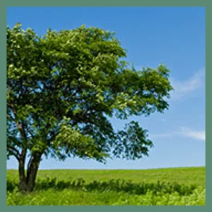 Bioidentical Hormone Specialist
