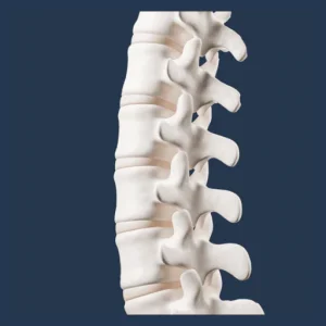 Coastal Spine