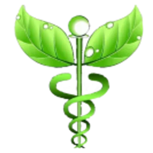 Dr Danni Board Certified Naturopathic Doctor & Direct Entry Midwife