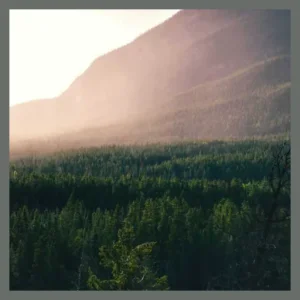 Driftless Hydration and Wellness