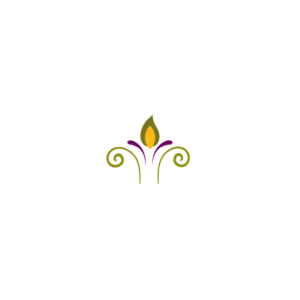 Elemental Medicine
