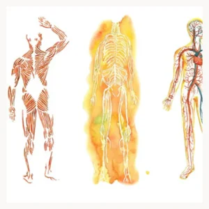 Fascial Health