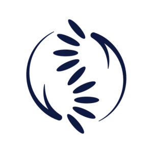 Foundations Health & Wellness Chiropractic