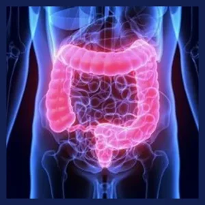 Gentle Colon Hydrotherapy