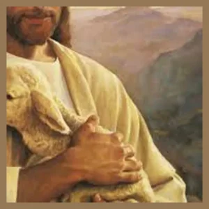 Good Shepherd Acupuncture and Naturopathic Medicine
