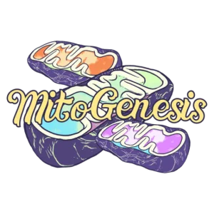Mitogenesis Regenerative Medicine