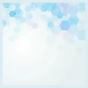 Palmetto Wellness & Weight Loss Center MD