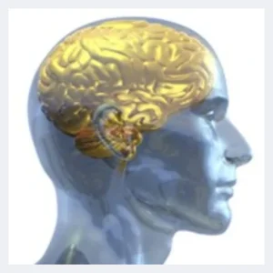 Psychfirst