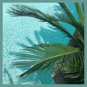 St. Pete Rejuvenate