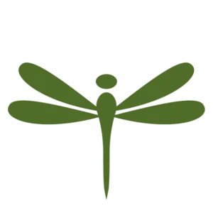 The Dragonfly Nest