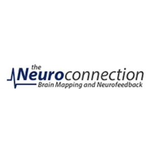 The Neuroconnection