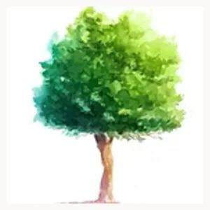Thrive Life Counseling Center