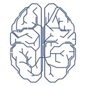 UCLA Neuromodulation Division